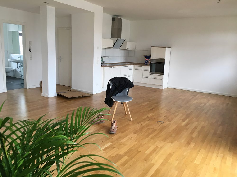 Empty apartment kitchen with fitted units and a house plant in Berlin, Germany