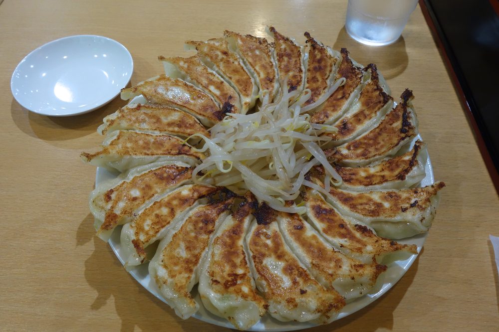 Close-up plate of Japanese gyoza dumplings