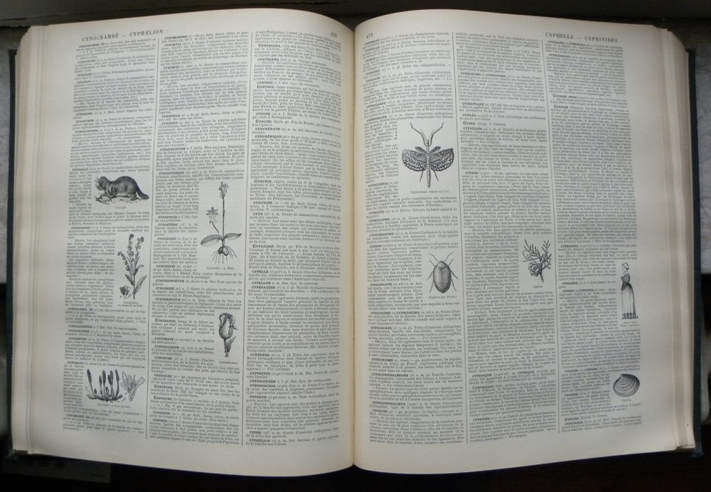 Open pages of Le Nouveau Dictionnaire Larousse, a French language reference dictionary