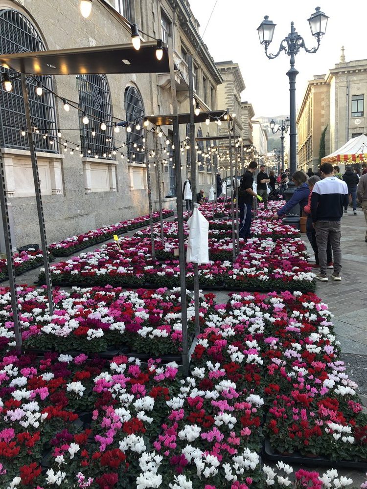 A flower market in a piazza in Bergamo, Italy, with stallholders and shoppers surrounded by everyday Italian vocabulary
